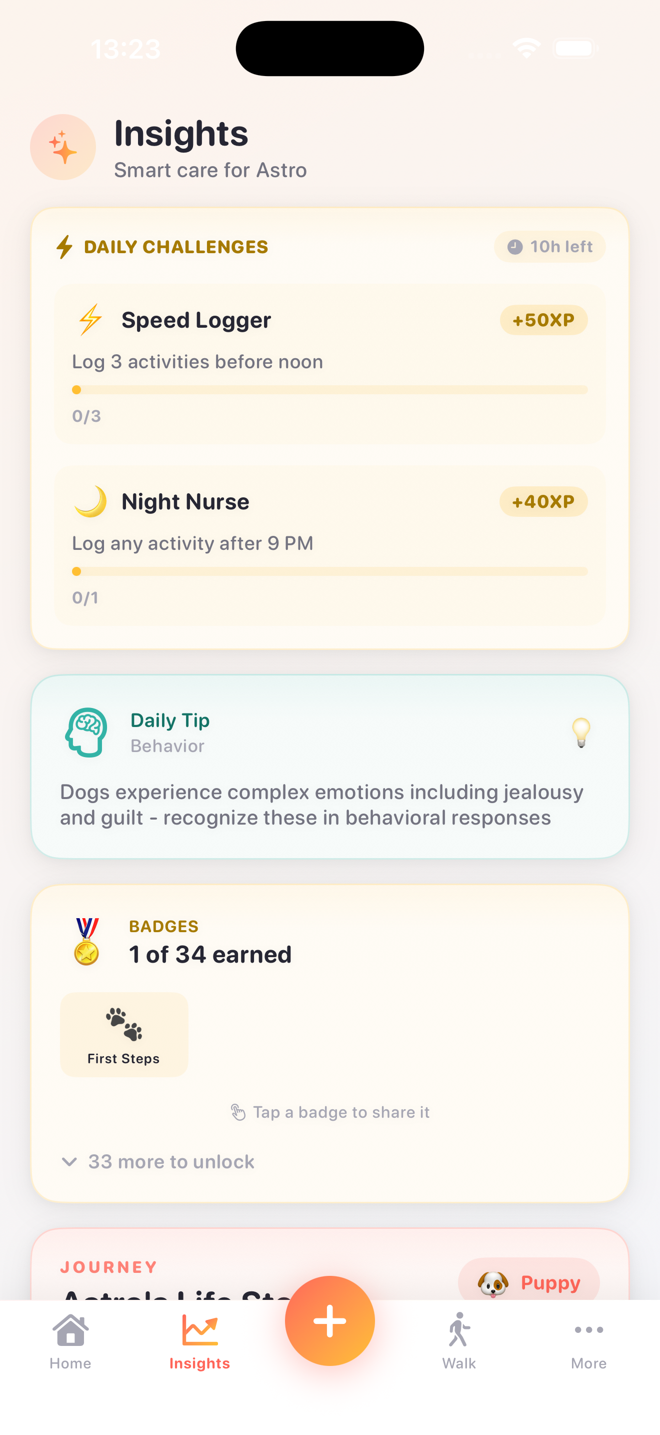 Badges and challenges